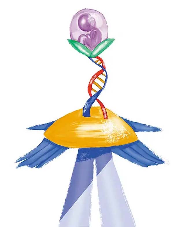 Los desafíos de regular el acceso a las Tecnologías de Reproducción Asistida