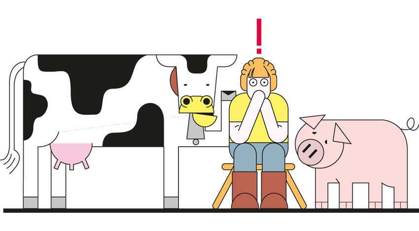 ¿Son personas los animales?