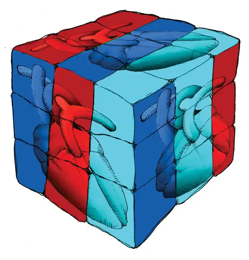 Bioética y trasplantes: principios y disyuntivas